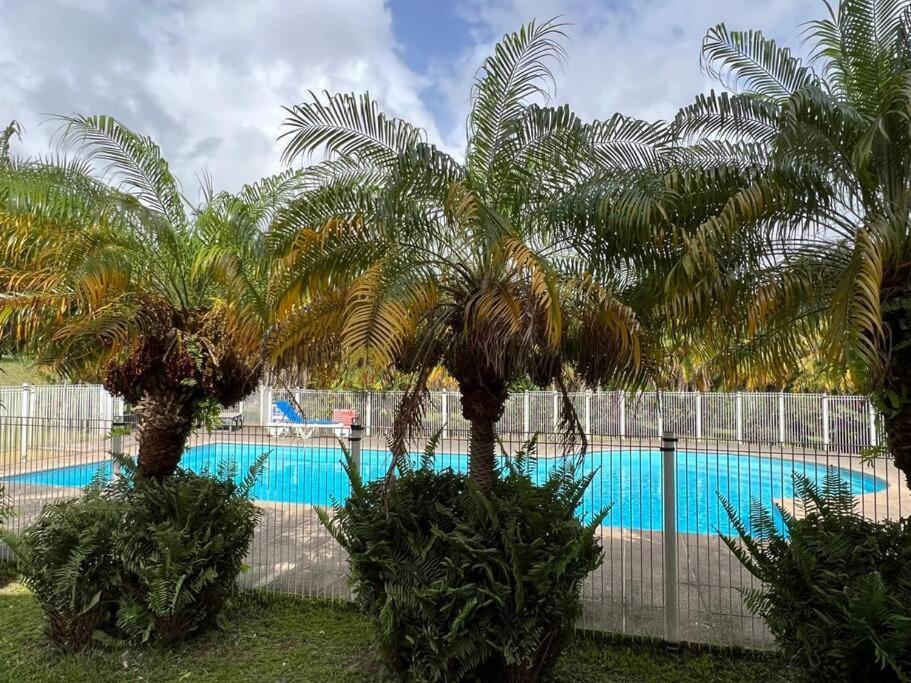Kanoa Lodge Piscine Et Vue Mer Saint-Claude Exterior foto